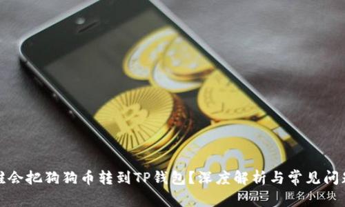 谁会把狗狗币转到TP钱包？深度解析与常见问题