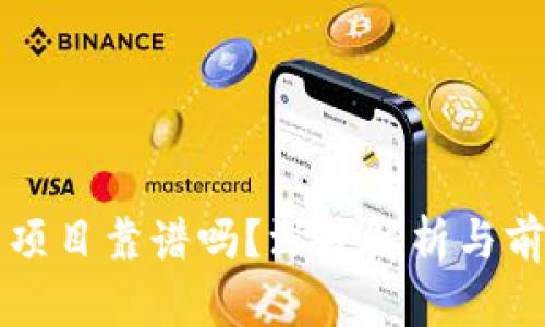 tP钱包项目靠谱吗？深度解析与前景展望