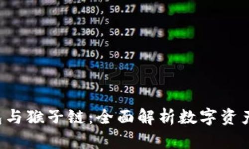  tP钱包与猴子链：全面解析数字资产的未来
