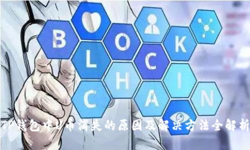 TP钱包中U币消失的原因及解决方法全解析