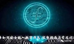 虚拟币如何安全放入数字钱包：完整指南与常见