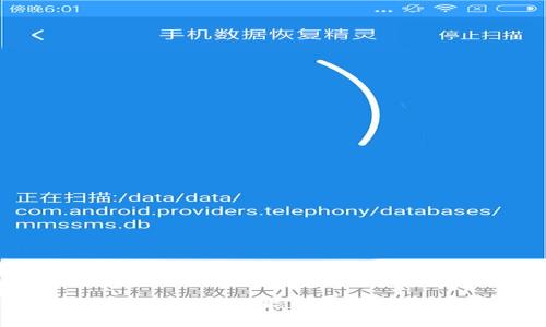 TP钱包中的蜂巢功能详细解析及其用途