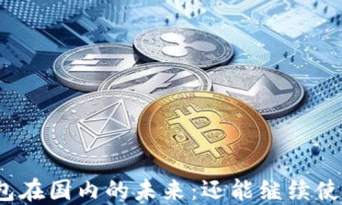 
TP钱包在国内的未来：还能继续使用吗？