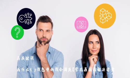 与关键词

为什么t p钱包中的钱会消失？常见原因与解决方案