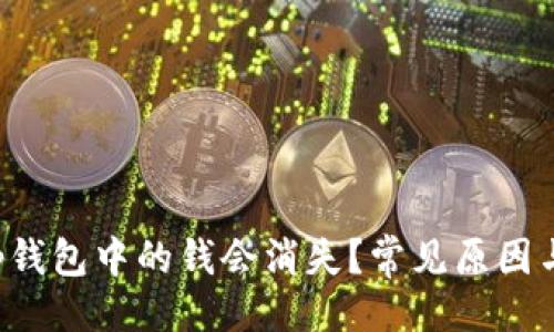 与关键词

为什么t p钱包中的钱会消失？常见原因与解决方案