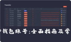 如何查询TP钱包账号：全面指南及常见问题解答