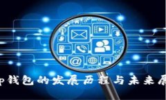 t p钱包的发展历程与未来展望