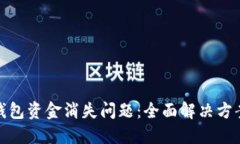 如何应对TP钱包资金消失问题：全面解决方案与预