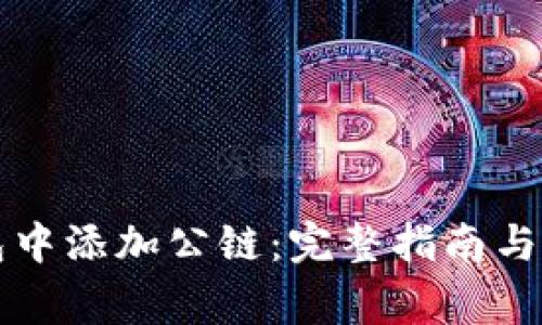 如何在TP钱包中添加公链：完整指南与常见问题解答